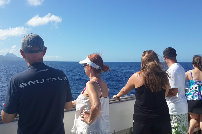 Whale Watching and Dolphin Spotting Cruise - Marine Life to Spot