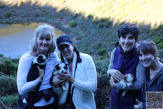 Whale Watching and Jeep Tour - Reviews and Feedback