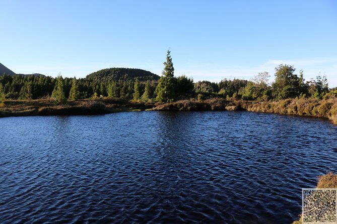 Whale Watching and Jeep Tour - Whale Watching Experience