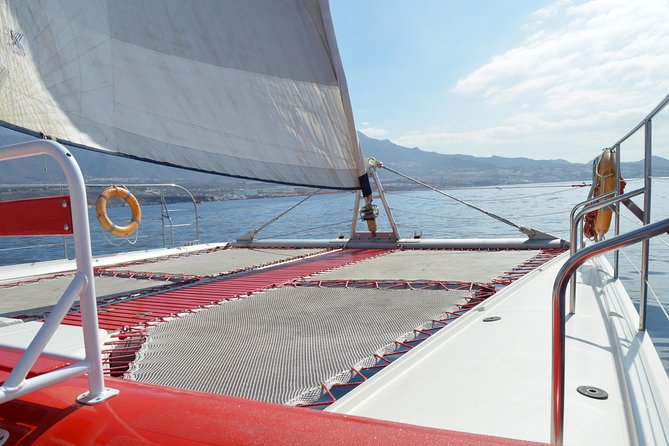 Whale Watching and Listening Eco Catamaran Tour With Food Tasting - Key Points