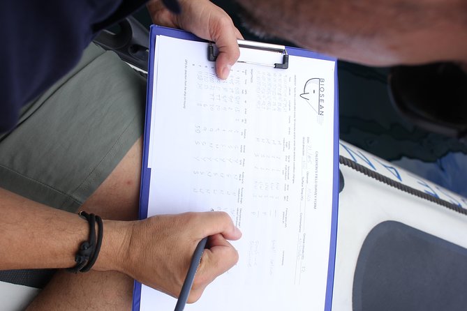 Whale Watching and Marine Science Tour - Scenic Viewpoints