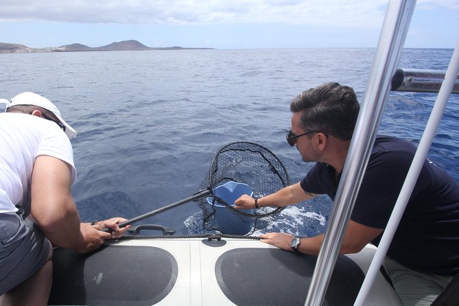 Whale Watching and Marine Science Tour - Participant Considerations