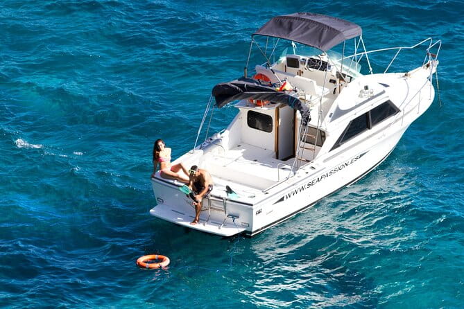 Whale watching and snorkelling in the whale sanctuary - Coastal and Cultural Highlights