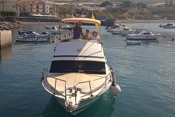 Whale watching and snorkelling in the whale sanctuary - Price and Value Analysis