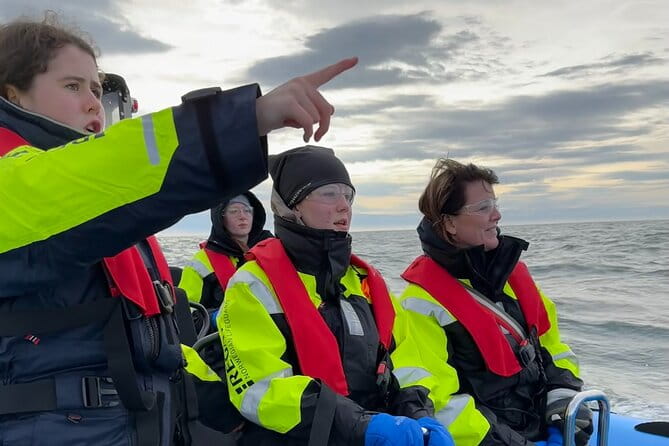 Whale Watching - RIB Boat Adventure in Kopavogur, Iceland - Key Points / Takeaways