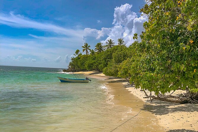 Whale Watching & Samana Bacardi Island - Amenities and Inclusions