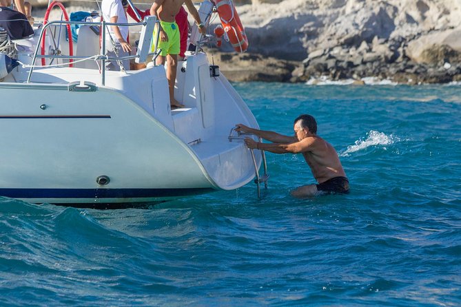 Whales & Dolphins Watching in Exclusive Sailboat - Frequently Asked Questions