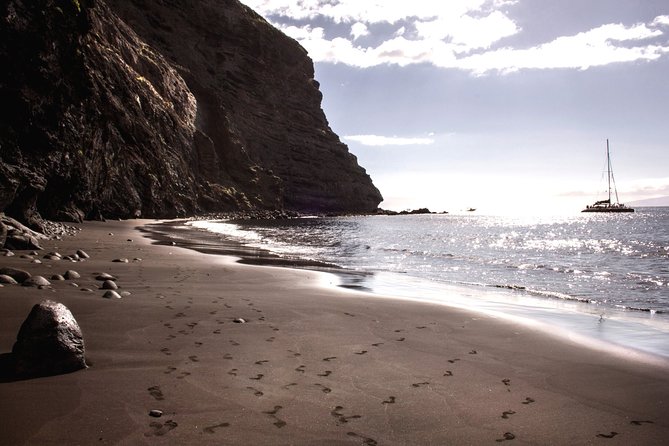 Whales Listening Eco-Catamaran Tour With Food Tasting - Cancellation Policy