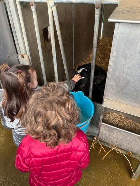 What a day: Parmesan, Balsamico , Lambrusco Taste&Tour+Lunch - Key Points / Takeaways