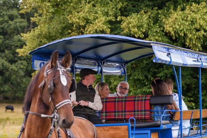 Whiskey & Wonders in Killarney - Key points / Takeaways