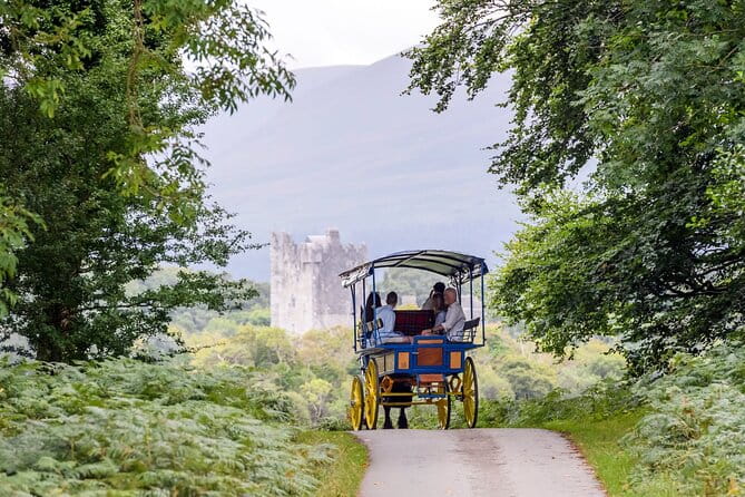 Whiskey & Wonders in Killarney - A Scenic Jaunting Car Tour Through Killarney National Park