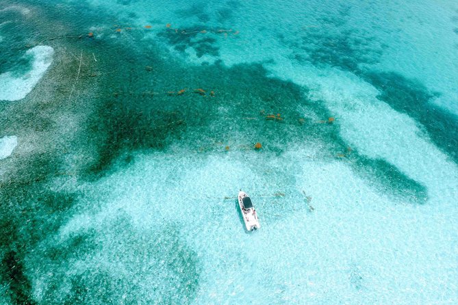 White Funds Day Francois - Key Points