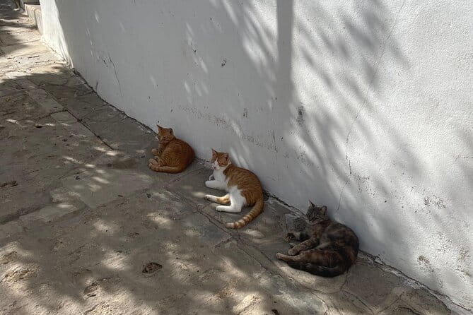 White villages from Seville: Arches, Medina Sidonia and Vejer - Key Points / Takeaways