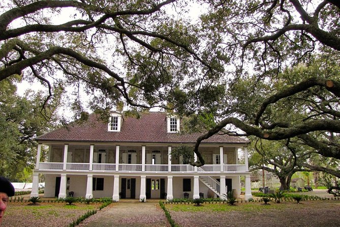 Whitney Plantation Tour With Transportation From New Orleans - Visitor Feedback and Reviews