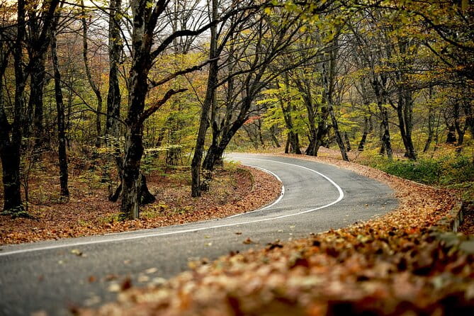 Whole day Wine Tour to Kakheti from Tbilisi - FAQ