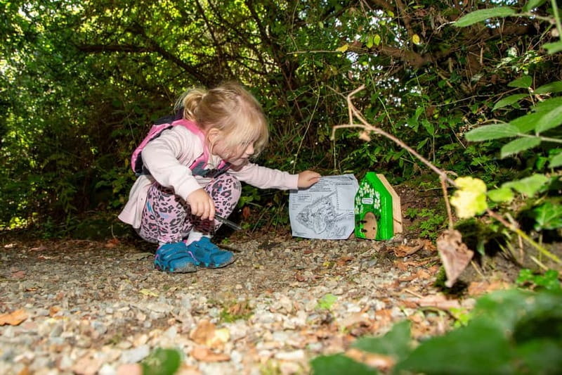 Wicklow: Greenan Farm, Museums & Maze with Animal Feeding - FAQ