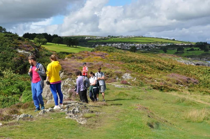 Wicklow: Guided Cliff Walk with Seals and Town Tour w/Picnic - Key points / Takeaways