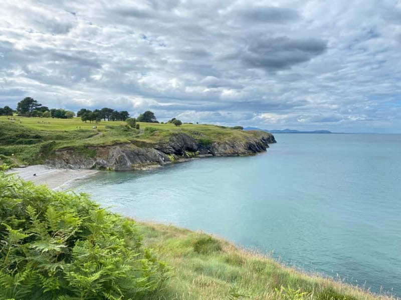 Wicklow: Guided Cliff Walk with Seals and Town Tour w/Picnic - Entering The Rugged Coastline and Scenic Views