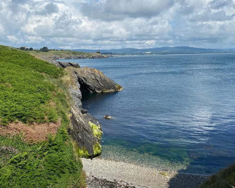 Wicklow: Guided Cliff Walk with Seals and Town Tour w/Picnic - The Black Castle and Historic Landmarks