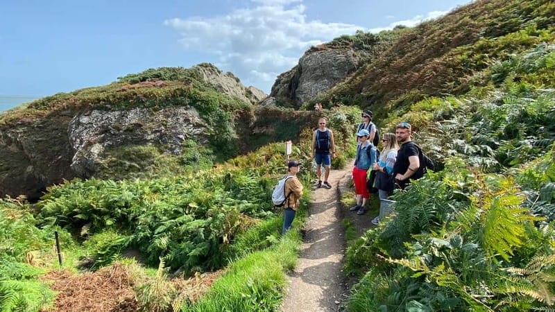 Wicklow: Guided Cliff Walk with Seals and Town Tour w/Picnic - Lunch, Picnic, and Local Flavors