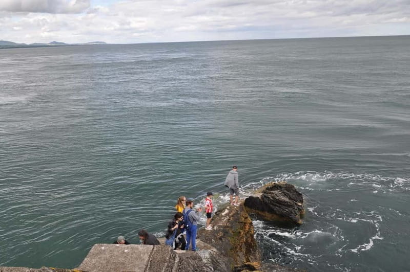 Wicklow: Guided Cliff Walk with Seals and Town Tour w/Picnic - Exploring Wicklow Town