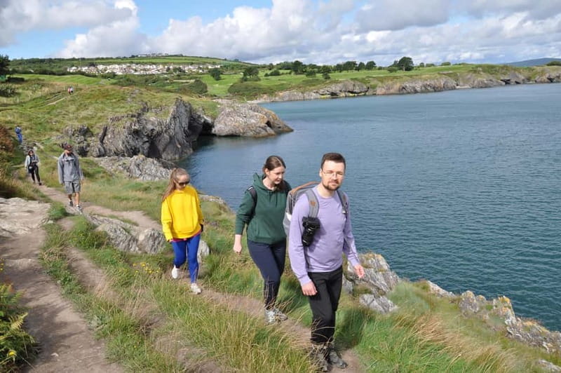 Wicklow: Guided Cliff Walk with Seals and Town Tour w/Picnic - Who is This Tour Best For?