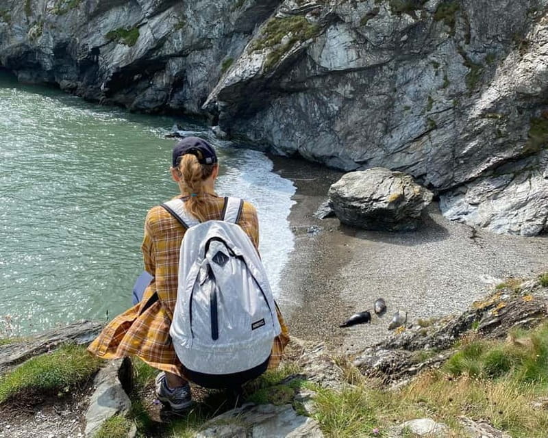 Wicklow: Guided Cliff Walk with Seals and Town Tour w/Picnic - The Sum Up