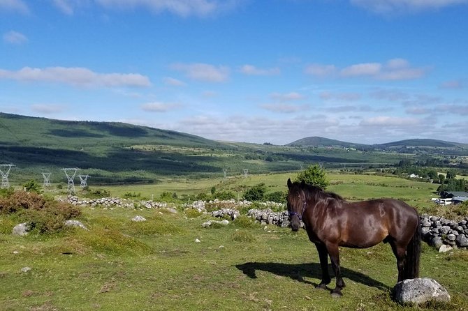Wicklow Mountains Horse Trekking - Meeting Point and Directions