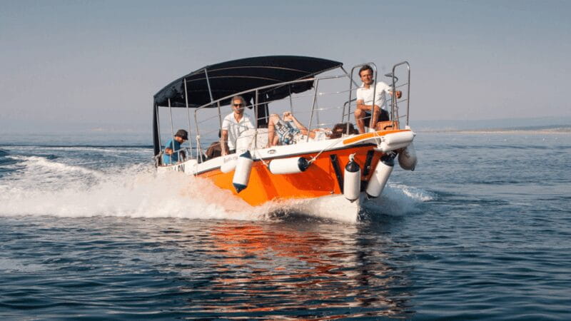 Wild Bays and Plavnik Island: A whole day private boat tour - Pricing and Value