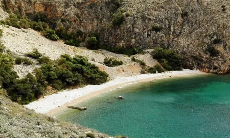 Wild Bays: Swimming and Snorkeling with Capt. Bobo (Private) - The Experience in Detail: A Day in the Wild Bays