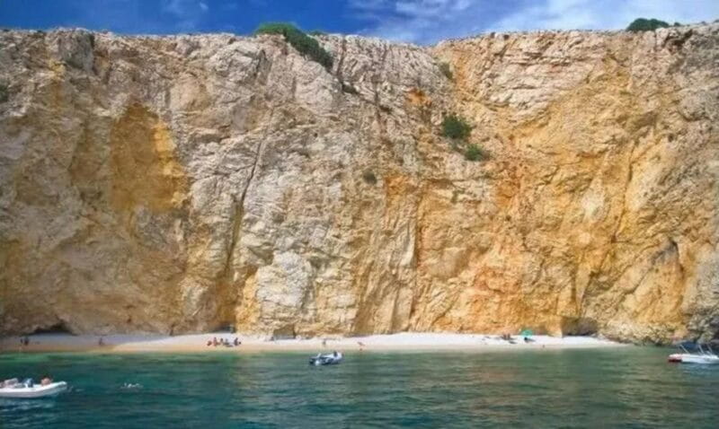 Wild Bays: Swimming and Snorkeling with Capt. Bobo (Private) - Final Thoughts