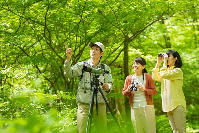 Wild Bird Sanctuary Forest Guided Tour in Nagano - Key Points