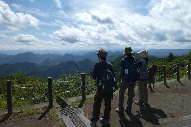 Wild Bird Sanctuary Forest Guided Tour in Nagano - Booking and Cancellation Policy