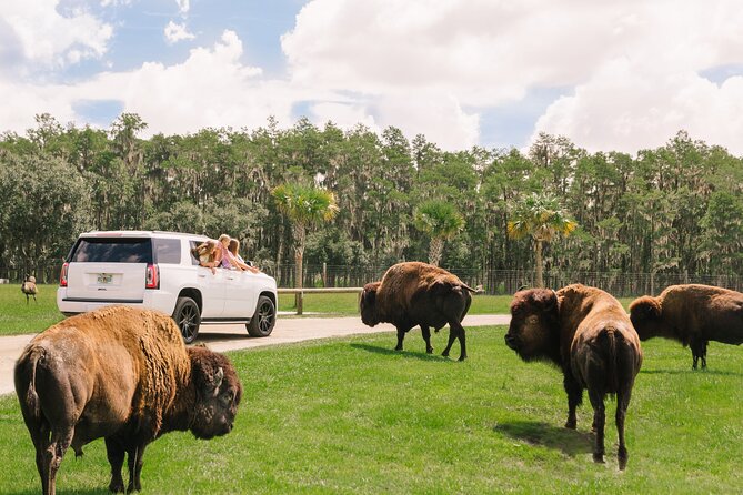 Wild Florida Drive-Thru Safari and Gator Park Admission - Interactive Experiences