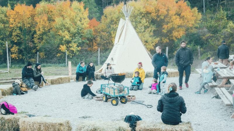 Wild Forest Reserve Foundation - Caregiver for a day - An In-Depth Look at the Experience