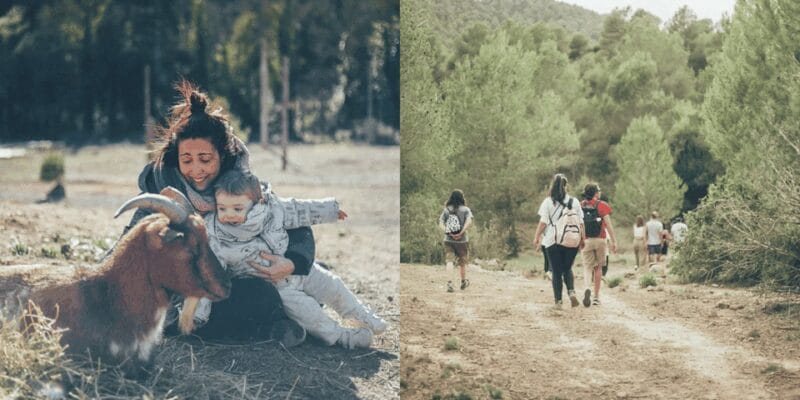 Wild Forest Reserve Foundation - Caregiver for a day - FAQ