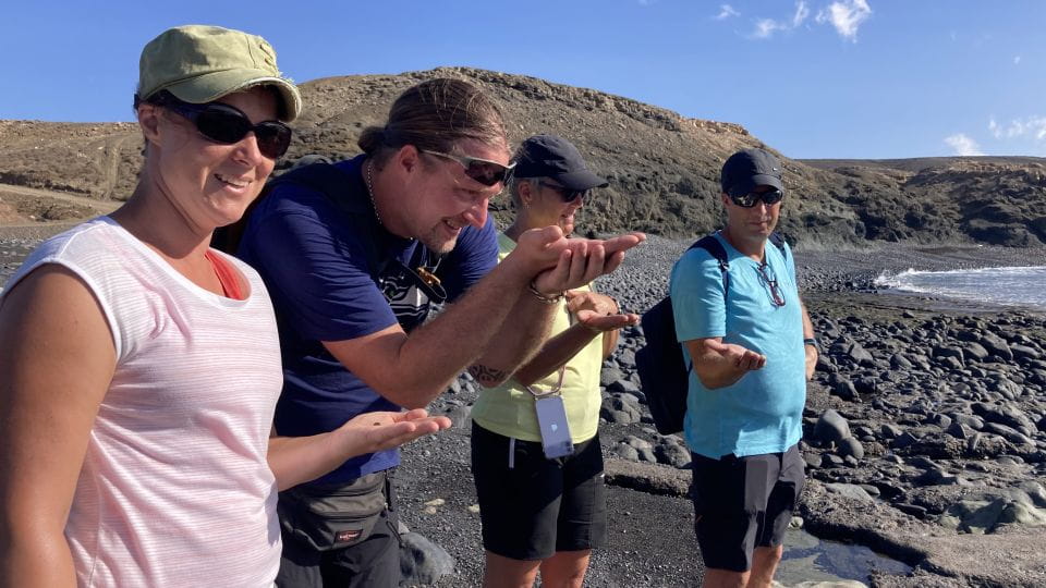 Wild Romantic Beaches - West Coast Guided Walk - Unique Photo Stops