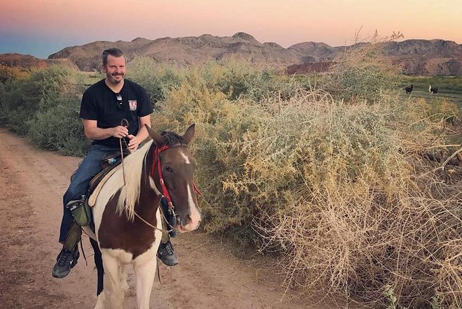 Wild West Sunset Horseback Ride With Dinner From Las Vegas - Guest Feedback