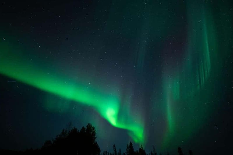 Wilderness Adventure by Snowmobile Sleigh - Key points/Takeaways