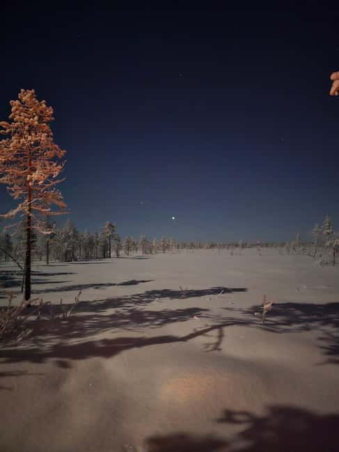 Wilderness Escape 4 Days in Karigasniemi, Finnish Lapland - FAQs