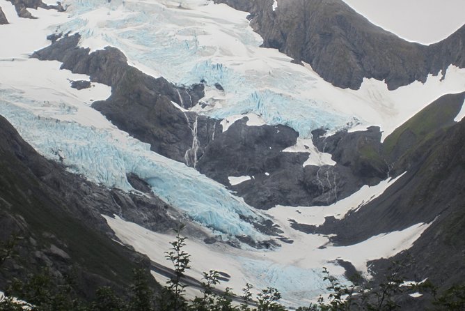 Wildlife and Glaciers With a Walk in the Rainforest - Wildlife Viewing Along Turnagain Arm