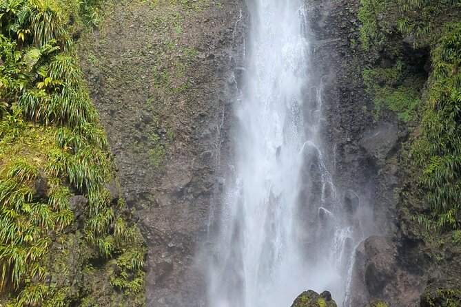 Wildlife Hike Middleham Falls - Health and Safety Guidelines