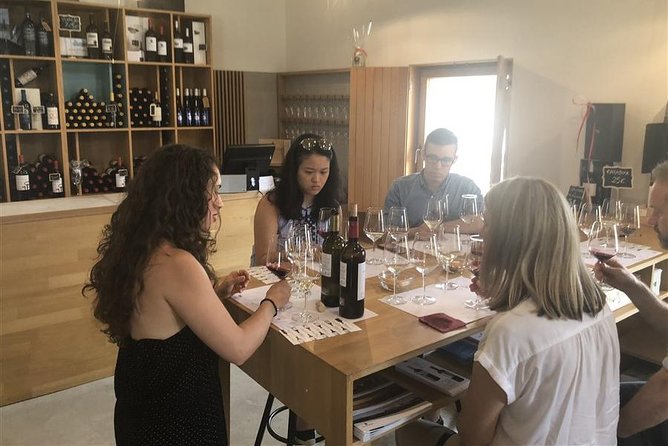 Windmills of Don Quixote Wine Tour & Tasting From Madrid - Winery Tour and Tasting