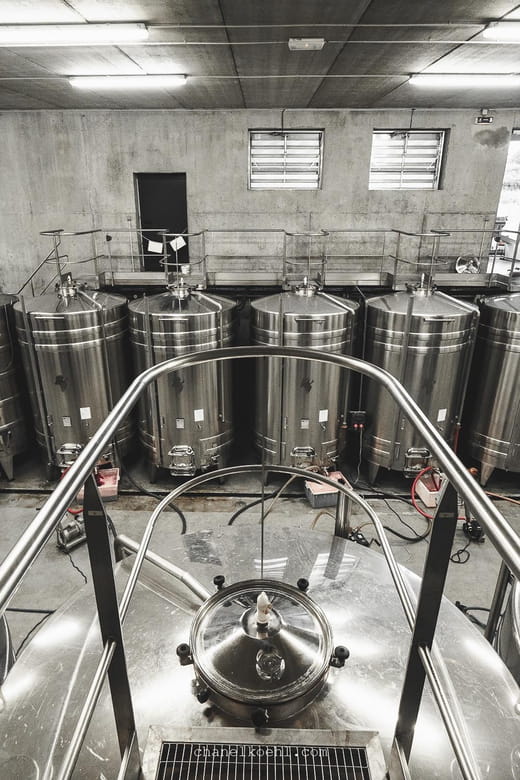 Wine and Cheese experience - Key Points / Takeaways