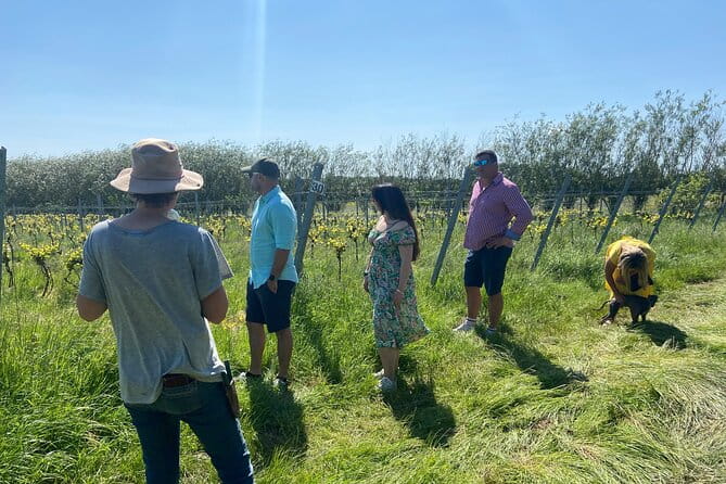 Wine and Cheese Tasting Tour in Cheddar Valley - Who Should Book This Tour?