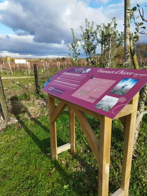 Wine and Chocolate experience - Who Should Consider This Experience?