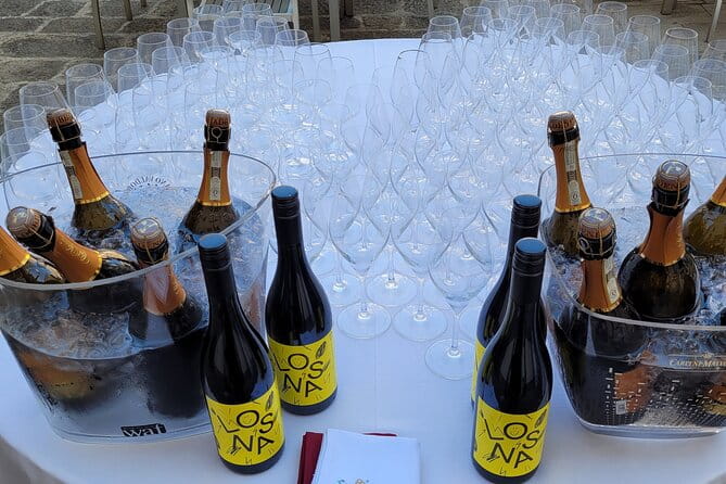 Wine and Cichetti Tasting at Liuba and Hugos Home - Guest Reviews