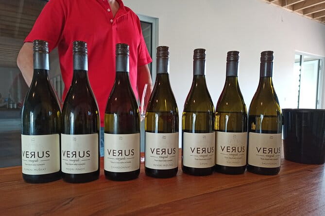 Wine and Culinary Adventure in Jeruzalem - Full Day Tour from Ljubljana or Ptuj - The Journey Begins: Jeruzalem’s Small-Town Charm and Scenic Outlooks