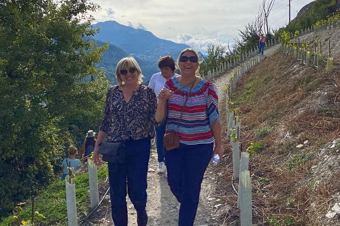 Wine and Dine Vineyard Walk in Sion - Discovering Sion’s Vineyards: An In-Depth Look at This Swiss Wine Walk