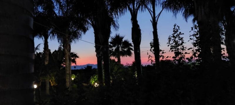 Wine and food at sunset - The Farm and Its Family Atmosphere